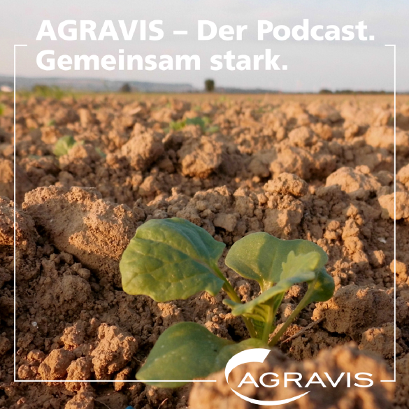 AGRAVIS Podcast